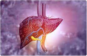 Importance of Early Diagnosis in Liver Diseases